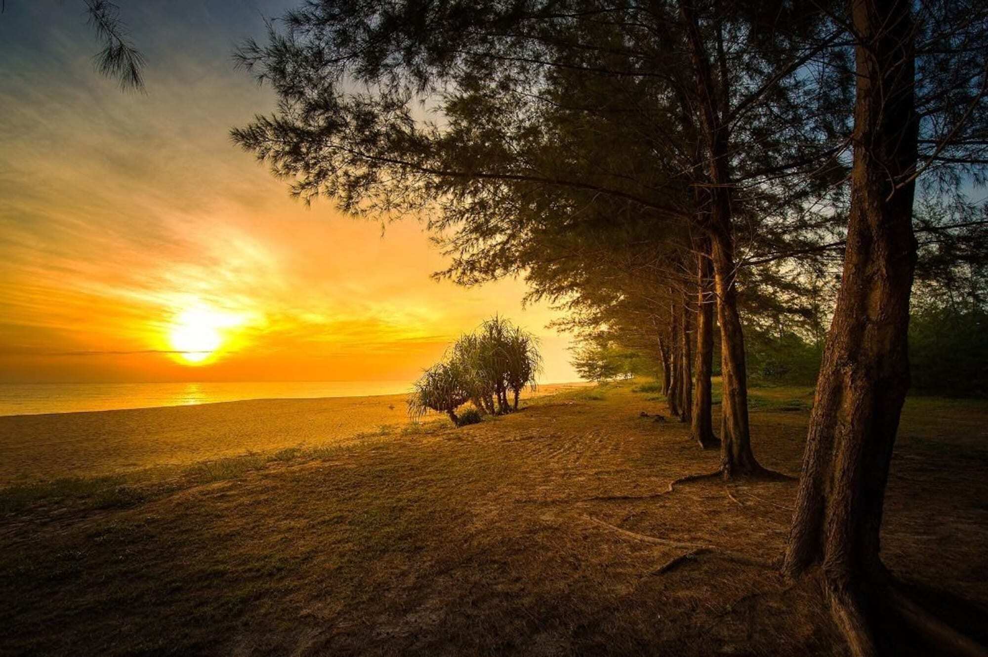 Erya By Suria Merang Dış mekan fotoğraf